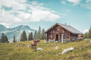 Avusturya 'daki dağ evi: Alplerdeki Idyllic manzarası