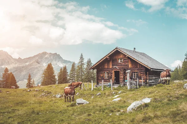 Chalé Montanha Áustria Paisagem Idílica Nos Alpes — Fotografia de Stock