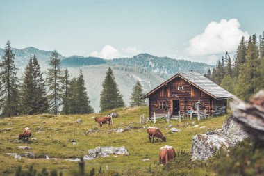 Avusturya 'daki dağ evi: Alplerdeki Idyllic manzarası