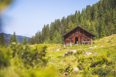 Avusturya 'daki dağ evi: Alplerdeki Idyllic manzarası