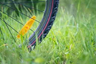 Çimlerin üzerinde bir dağ bisikleti lastiği resmi, yaz günü.
