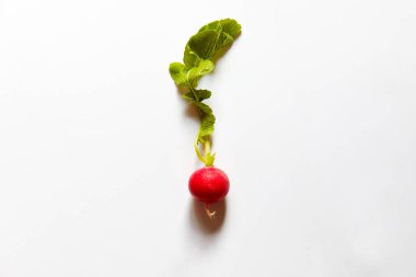 İzole turp yukarıdan izlendi. Düz yatıyordu beyaz arka plan. Stüdyo.