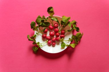 Turp yukarıdan izlendi beyaz bir tabak içinde gruplandırılmış. Pembe bir arka plan, yat stüdyo.