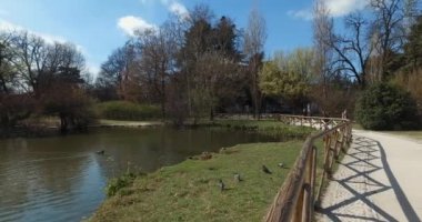 Bahar 2019, su gölet, yeşil çimen ve Sforzesco Kalesi 'nin başlangıcı olan Sempione Park 'ın görüntüleri. Parkın etrafında tanınmayan insanlar.
