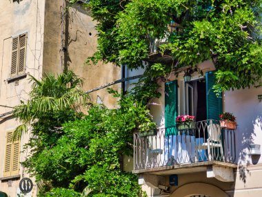 Çiçekler, masa ve sarmaşıklarla çevrili beyaz sandalyelerle balkon