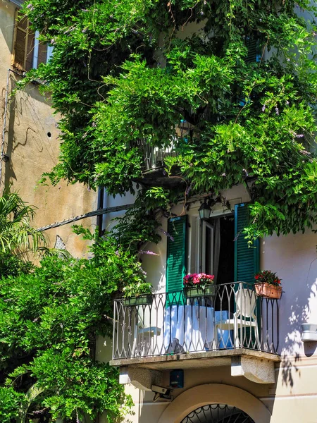 Balkon z kwiatami, stołem i białymi krzesłami otoczonym winoroślą — Zdjęcie stockowe
