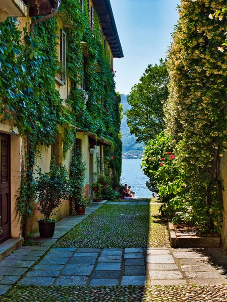 Callejón con casas de paredes cubiertas de vides con orta lago en th — Foto de Stock