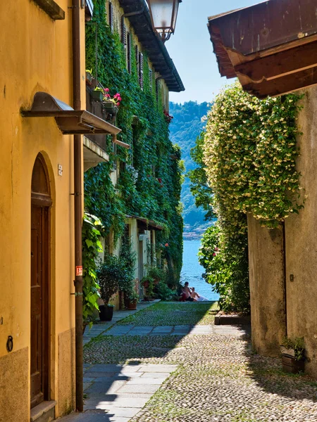 Callejón con casas de paredes cubiertas de vides con orta lago en th — Foto de Stock