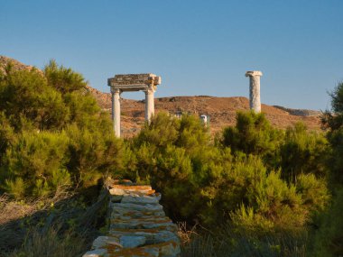 Doğa arka plan üzerinde antik bina kalıntıları