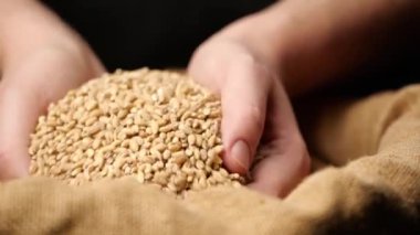 Malt elinde. Ekmek yapma