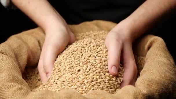 Malt Hand Making Bread — Stock Video