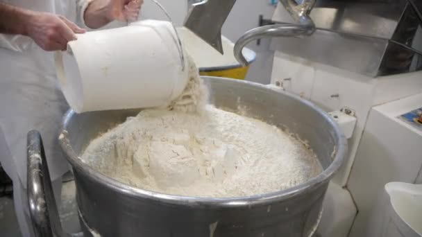 Pours Flour Making Bread — Stock Video