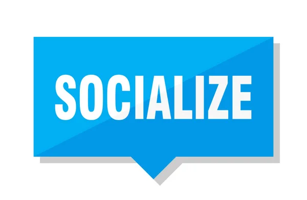 Socialize Blue Square Price Tag — Stock Vector