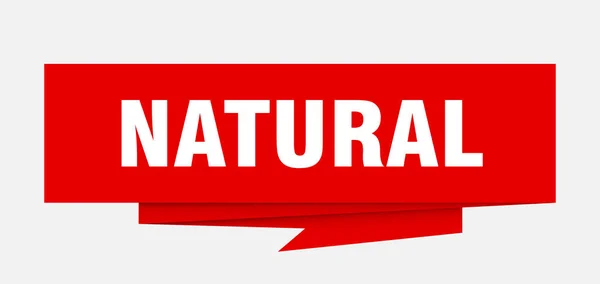 Segno Naturale Carta Naturale Origami Discorso Bolla Etichetta Naturale Banner — Vettoriale Stock