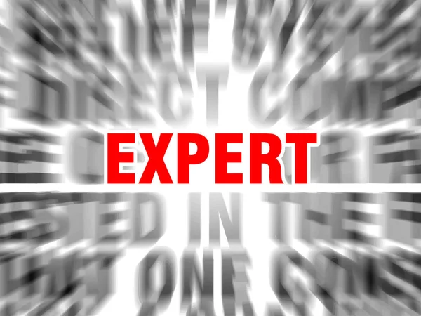 Expert — Stock Vector