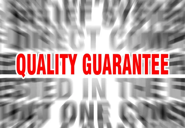 Quality guarantee — Stock Vector