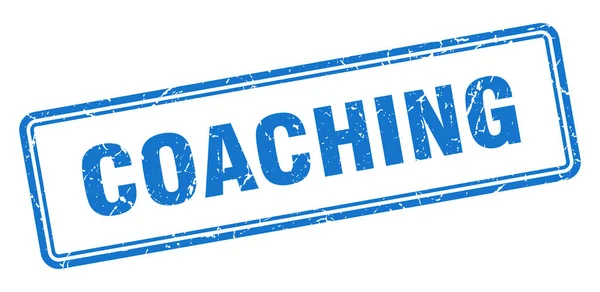 Coaching — Stock Vector