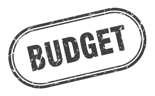 Бюджет — стоковый вектор