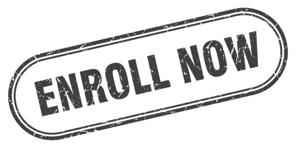 Enroll now — Stock Vector