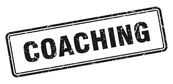 Coaching — Stock Vector