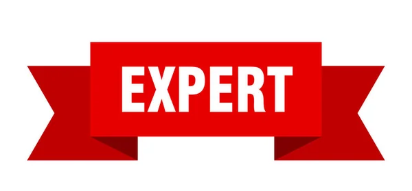 Expert — Stock Vector