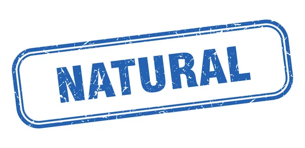 Naturales — Vector de stock