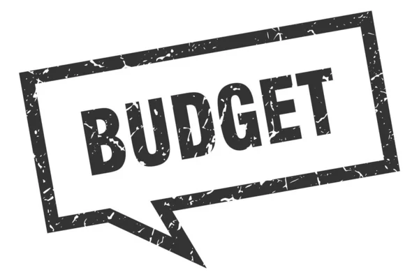 予算記号。予算正方形のスピーチバブル。予算 — ストックベクタ