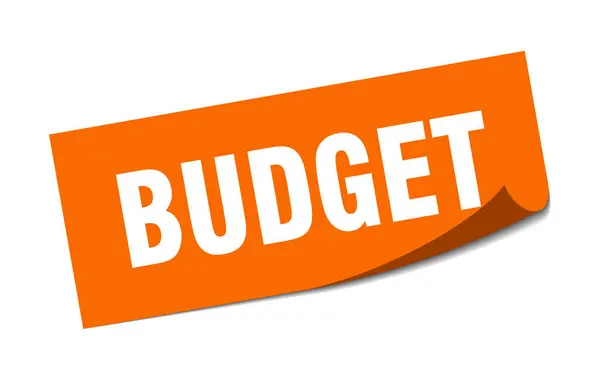 Бюджетная наклейка. бюджетный квадратный изолированный знак. бюджет — стоковый вектор
