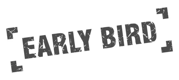 early bird stamp. early bird square grunge sign. early bird