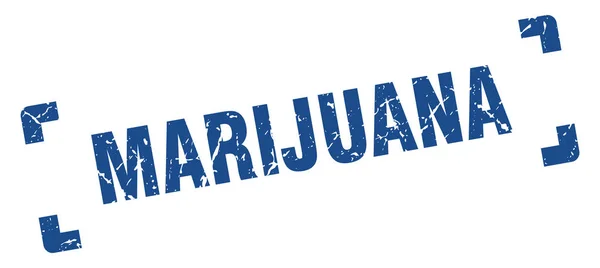 Marijuana stamp. marijuana square grunge sign. marijuana — Stock Vector