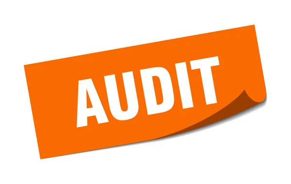 Štítek pro audit. auditu čtvercového izolovaného podpisu. Auditu — Stockový vektor