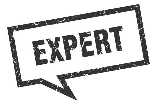 Expert skylt. expert fyrkantig pratbubbla. Expert — Stock vektor