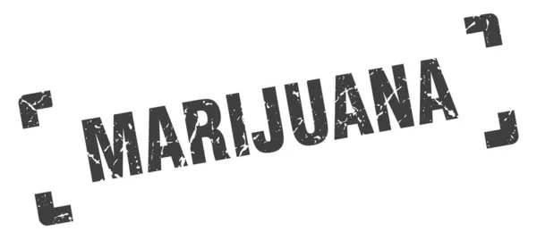 Marihuana-Marke. Marihuana-Quadrat-Grunge-Schild. Marihuana — Stockvektor