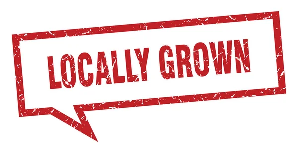 Locally grown sign. locally grown square speech bubble. locally grown — Stock Vector