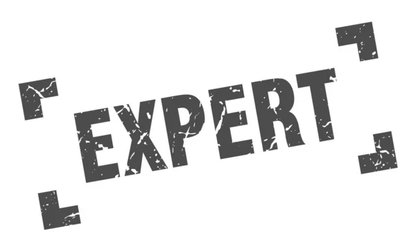 Tampon expert. Grunge carré expert signe. expert — Image vectorielle