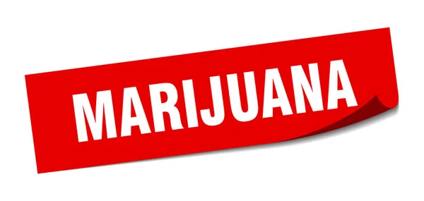 Pegatina de marihuana. marihuana signo cuadrado aislado. marihuana — Vector de stock