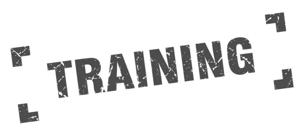 Training stamp. training square grunge sign. training — Stock Vector