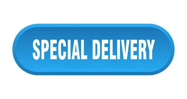 Botón de entrega especial. entrega especial signo redondeado azul. entrega especial — Archivo Imágenes Vectoriales