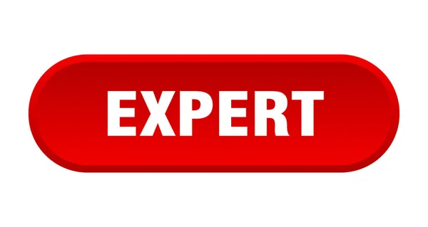 Knop expert. deskundige afgeronde rode teken. Expert — Stockvector