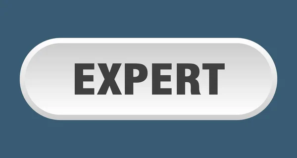 Expert button. expert rounded white sign. expert — Stock Vector