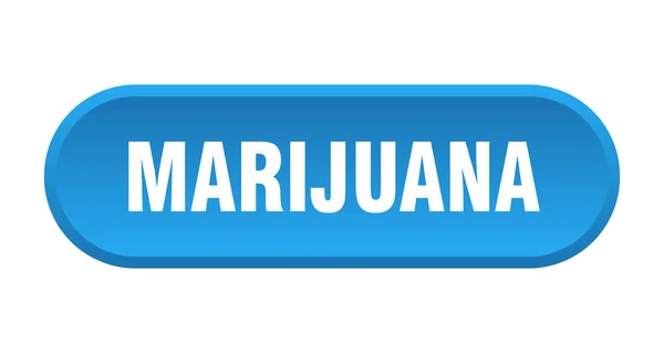 Botão de marijuana. marijuana arredondada sinal azul. maconha —  Vetores de Stock