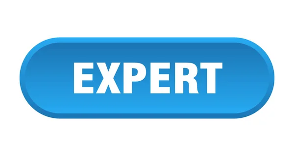 Expert knappen. expert rundad blå skylt. Expert — Stock vektor