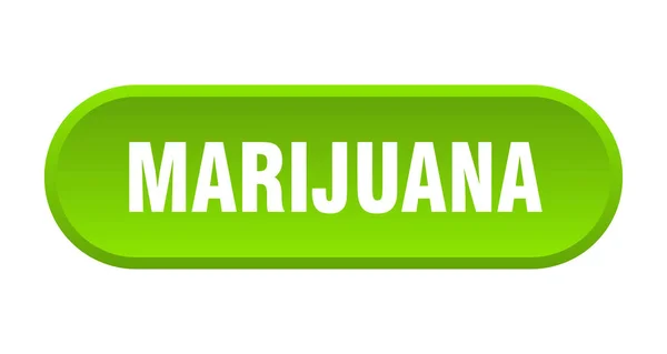 Кнопка марихуани. Марихуана округлий зелений знак. марихуану — стоковий вектор