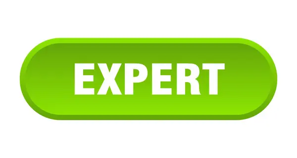 Bouton expert. signe vert arrondi expert. expert — Image vectorielle