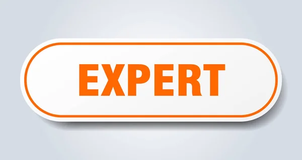 Señal experta. calcomanía naranja redondeada experto. experto — Archivo Imágenes Vectoriales