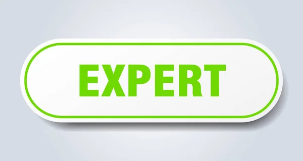 Expert skylt. expert rundade gröna klistermärke. Expert — Stock vektor