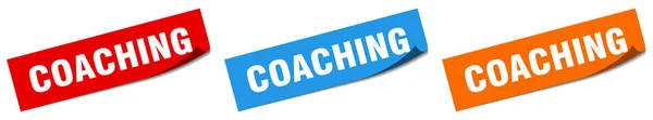 Coaching Paper Peeler Sign Set Coaching Sticker — Stock Vector