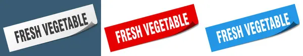 Färskt Grönsakspapper Skalare Skylt Set Klistermärke För Färska Grönsaker — Stock vektor