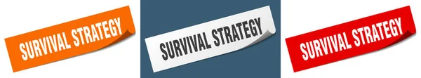 Estratégia Sobrevivência Papel Descascador Sinal Definido Etiqueta Estratégia Sobrevivência —  Vetores de Stock