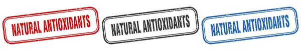 Natuurlijke Antioxidanten Vierkante Geïsoleerde Teken Set Natuurlijke Antioxidanten Stempel — Stockvector